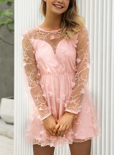 Pink Sexy Chiffon Embroidered Round Neck Long Sleeve Mesh Mini Dress YOUYOUFASHIONEC.com