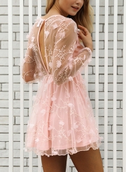 Pink Sexy Chiffon Embroidered Round Neck Long Sleeve Mesh Mini Dress