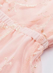 Pink Sexy Chiffon Embroidered Round Neck Long Sleeve Mesh Mini Dress