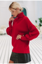 Knitted Long Sleeve Turtleneck Sweater