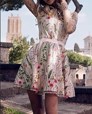 Floral Embroidery Mesh Sleeve Mini Dress